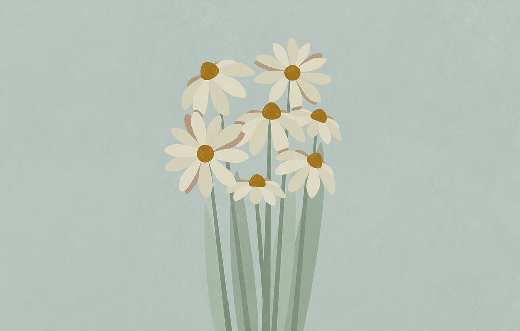 Bunch of white flowers Bunch of white flowers