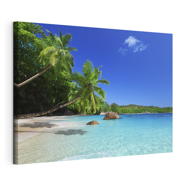 Une plage avec des palmiers et de l'eau bleue Tableaux Une plage avec des palmiers et de l'eau bleue