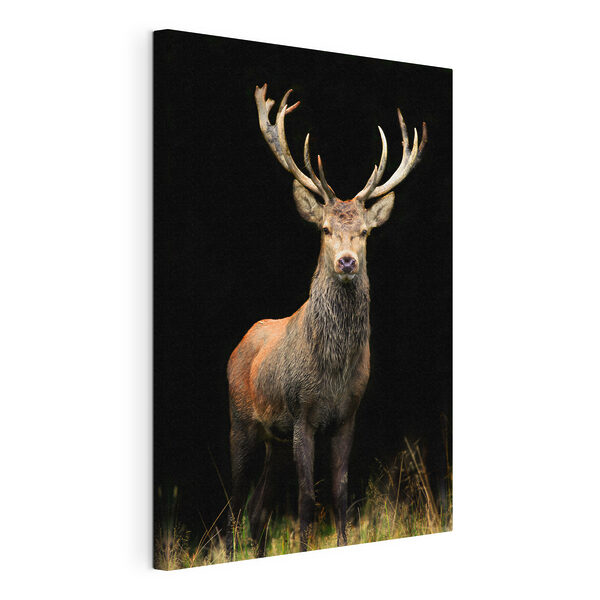 Tableaux Un cerf avec des bois dans l'obscurité (UGS : s08154) Tableaux Tableaux Un cerf avec des bois dans l'obscurité (UGS : s08154)