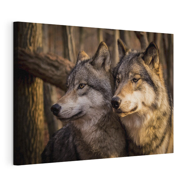 Un couple de loups dans les bois Tableaux Un couple de loups dans les bois