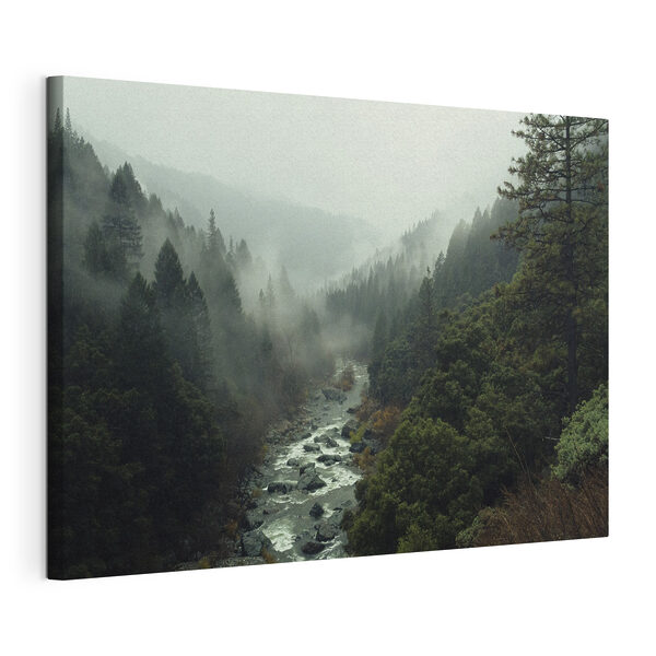 Tableaux Une rivière traversant une forêt