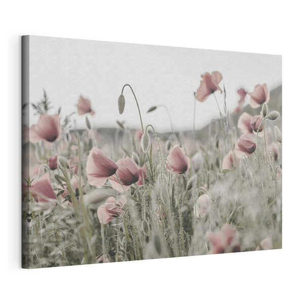 Tableaux Un champ de fleurs roses (UGS : s35592) Tableaux Tableaux Un champ de fleurs roses (UGS : s35592)