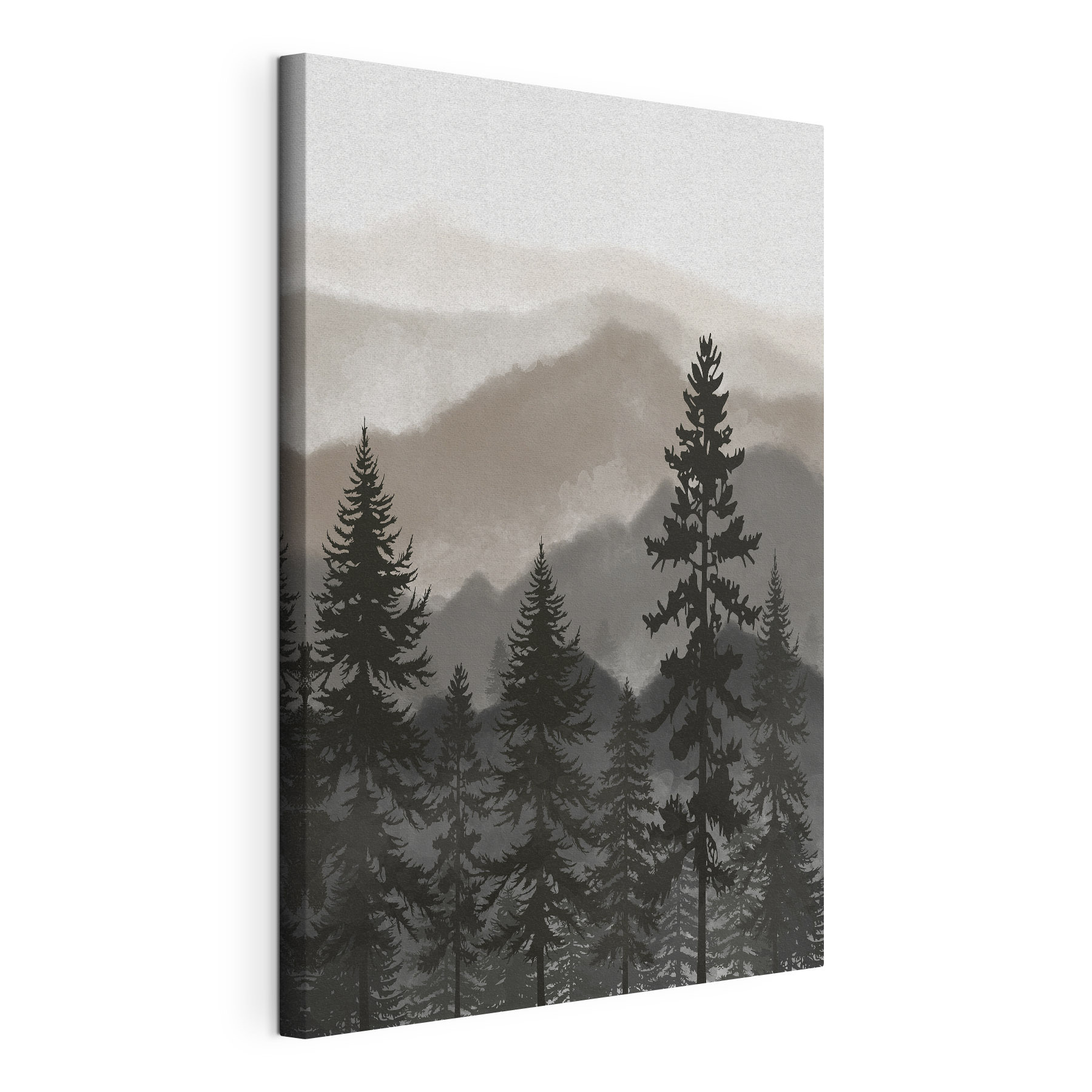 A group of trees in a forest