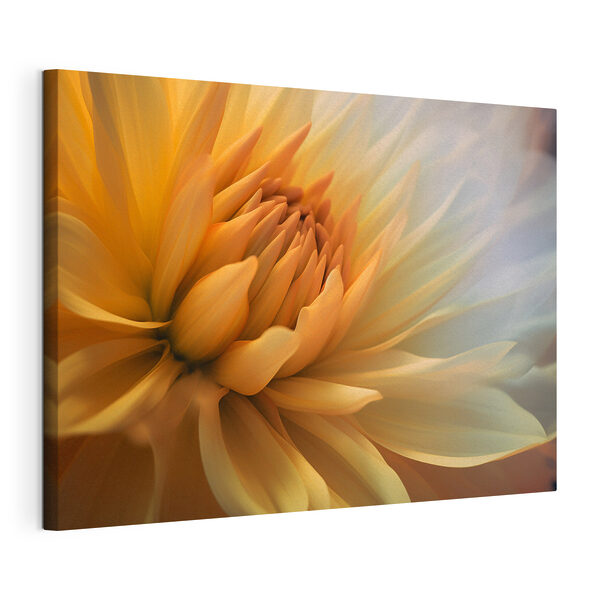 Tableaux Gros plan sur une fleur (UGS : s37388) Tableaux Tableaux Gros plan sur une fleur (UGS : s37388)