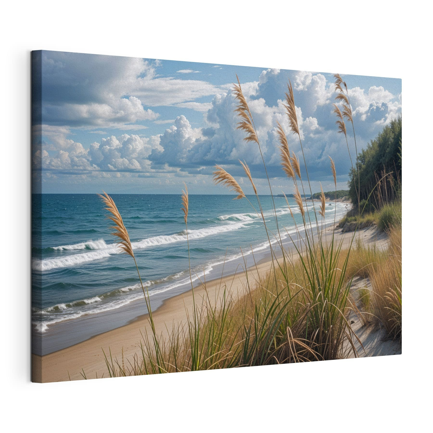 Beach with tall grass and water Beach with tall grass and water