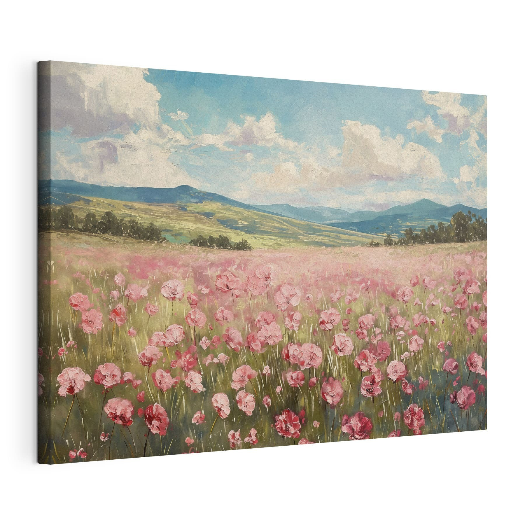 Field of pink flowers