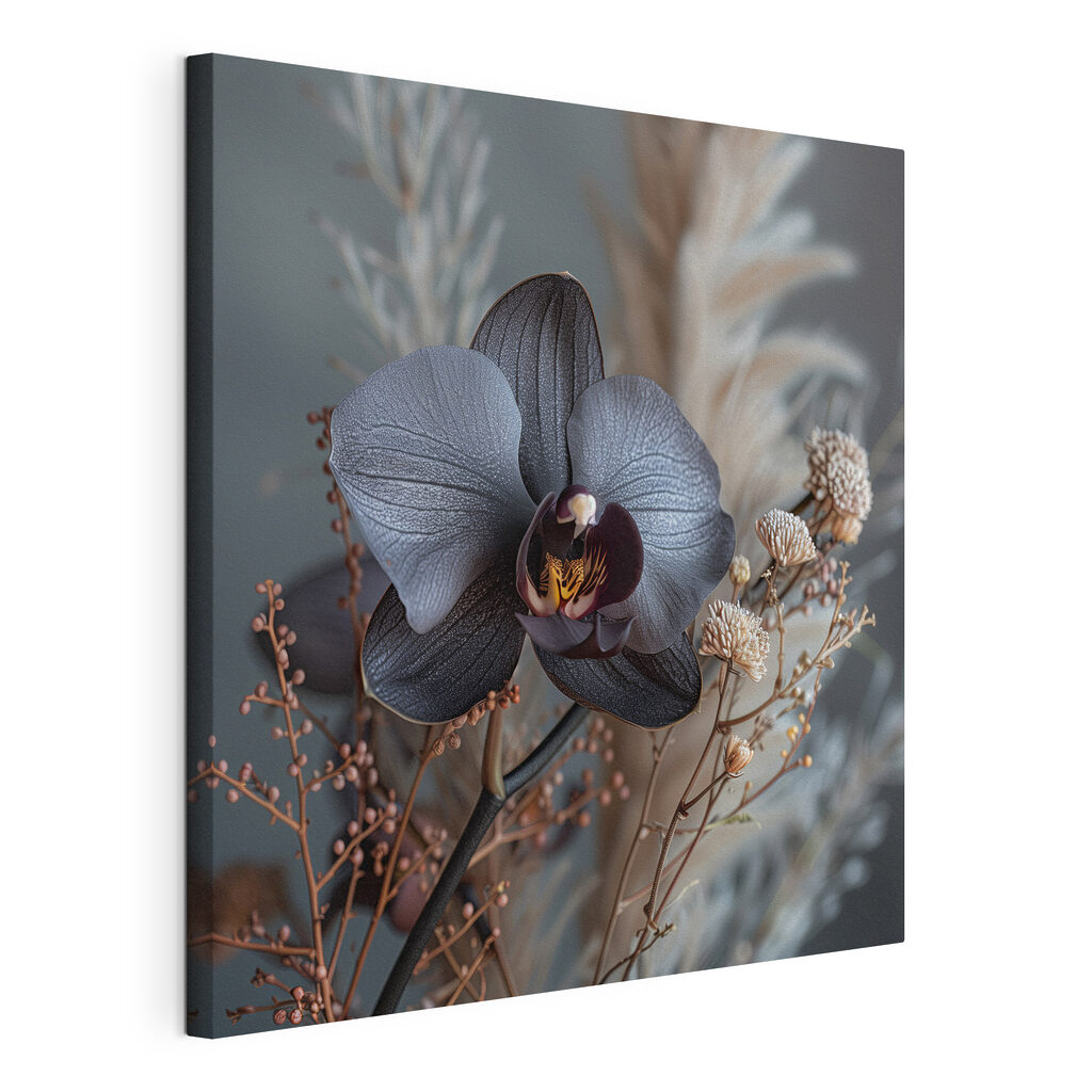 Black flower with white flowers