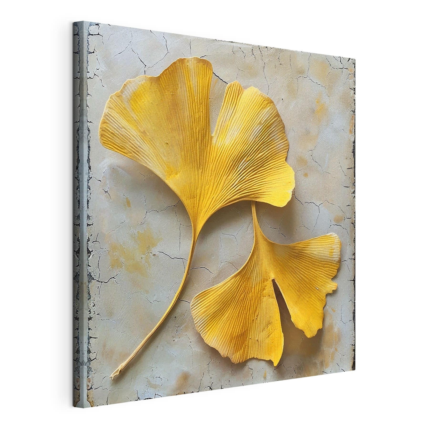 Yellow leaves on a white surface