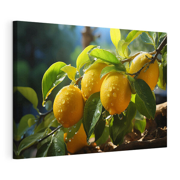 Tableaux Groupe de citrons sur un arbre (UGS : s40840) Tableaux Tableaux Groupe de citrons sur un arbre (UGS : s40840)