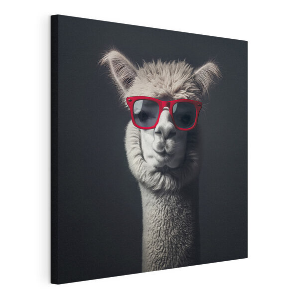 Tableaux Lama portant des lunettes de soleil rouges (UGS : s40996) Tableaux Tableaux Lama portant des lunettes de soleil rouges (UGS : s40996)