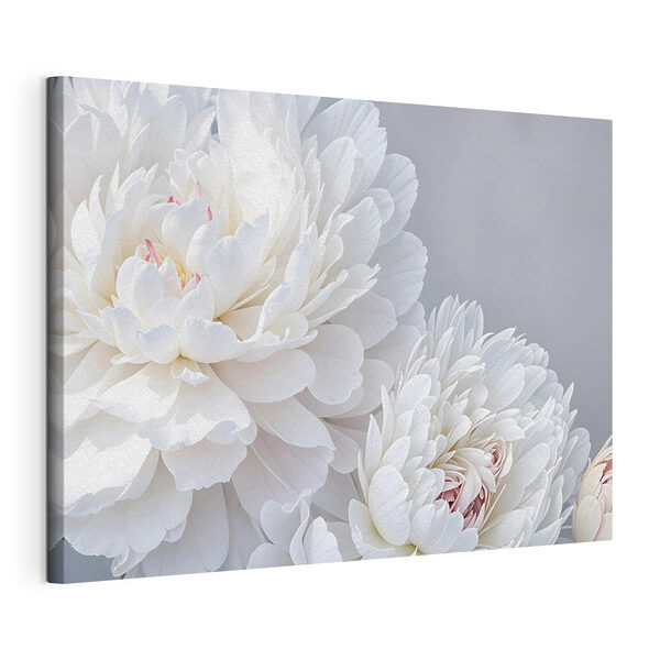 Gros plan sur des fleurs blanches Tableaux Gros plan sur des fleurs blanches