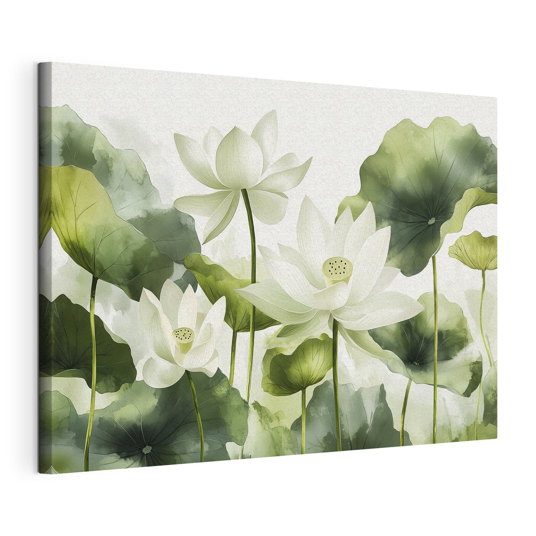 Group of white flowers with green leaves