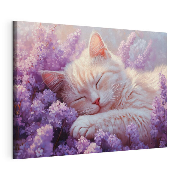 Chat dormant dans un parterre de fleurs Tableaux Chat dormant dans un parterre de fleurs