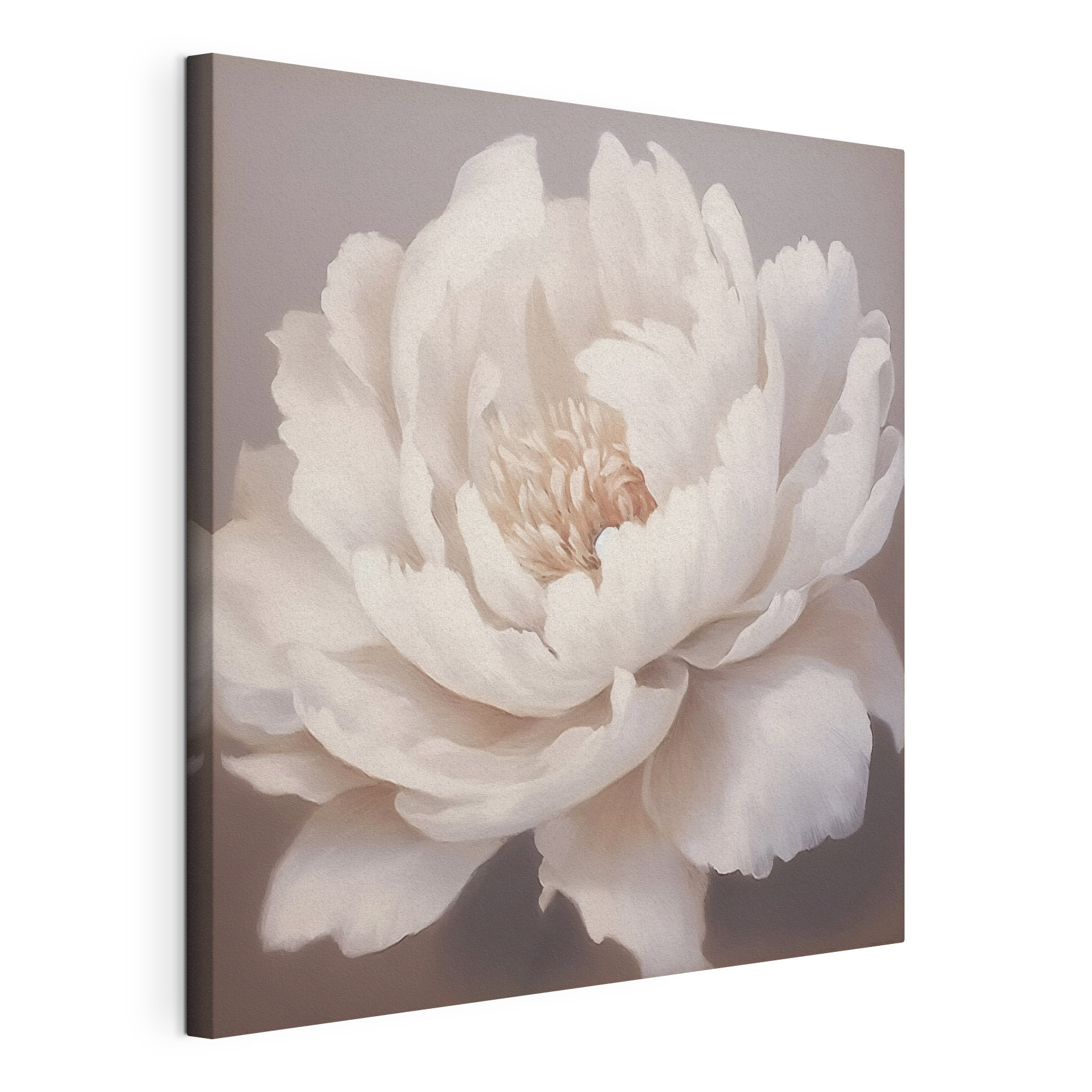 Delicate petals in soft hues Delicate petals in soft hues