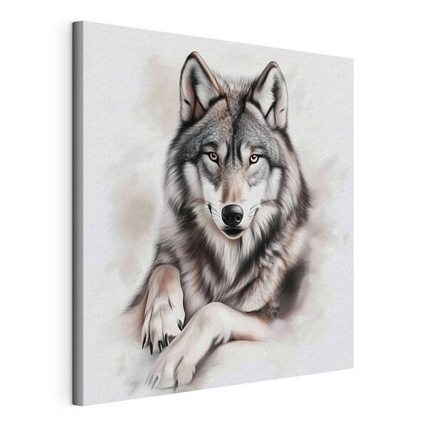 Loup couché regardant la caméra Tableaux Loup couché regardant la caméra