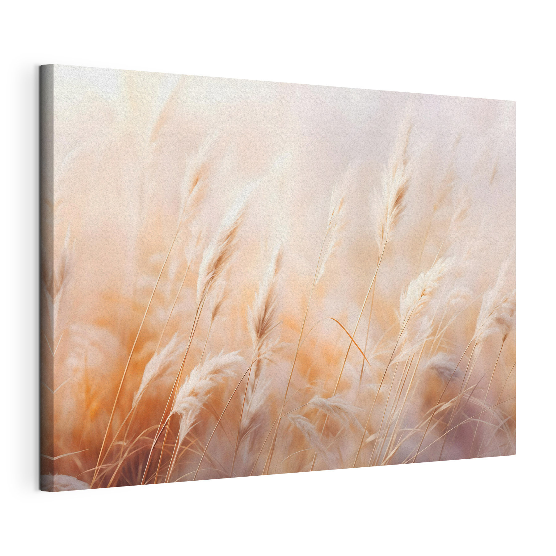 Soft grasses dancing in the breeze Soft grasses dancing in the breeze