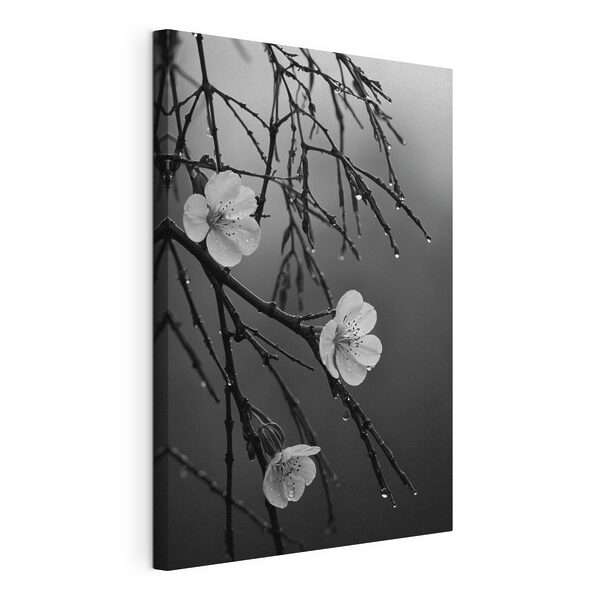 Des fleurs délicates sous une pluie fine Tableaux Des fleurs délicates sous une pluie fine