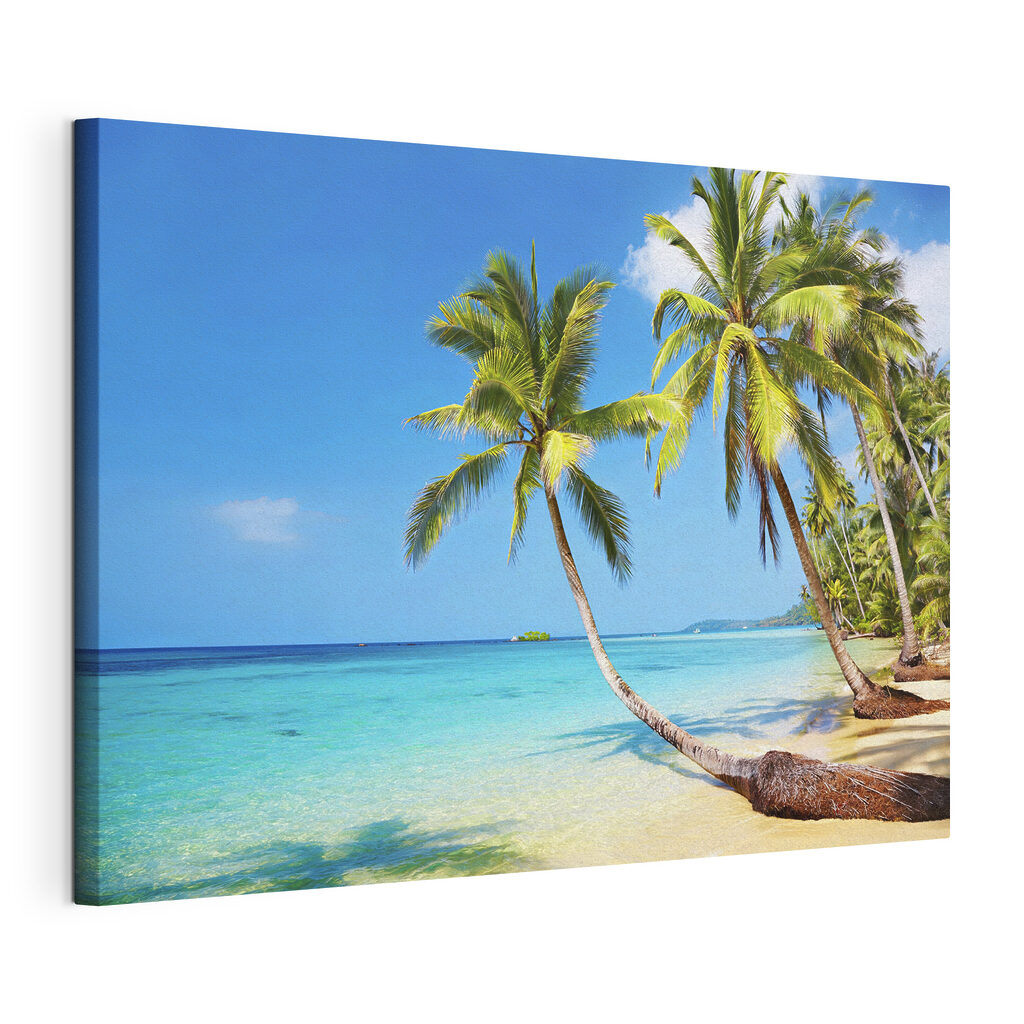 Palm trees on a beach