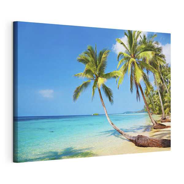 Palm trees on a beach
