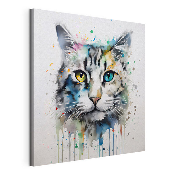 Tableaux Un chat aux yeux bleus