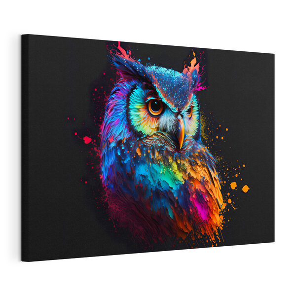 Tableaux Un hibou coloré avec des éclaboussures de peinture