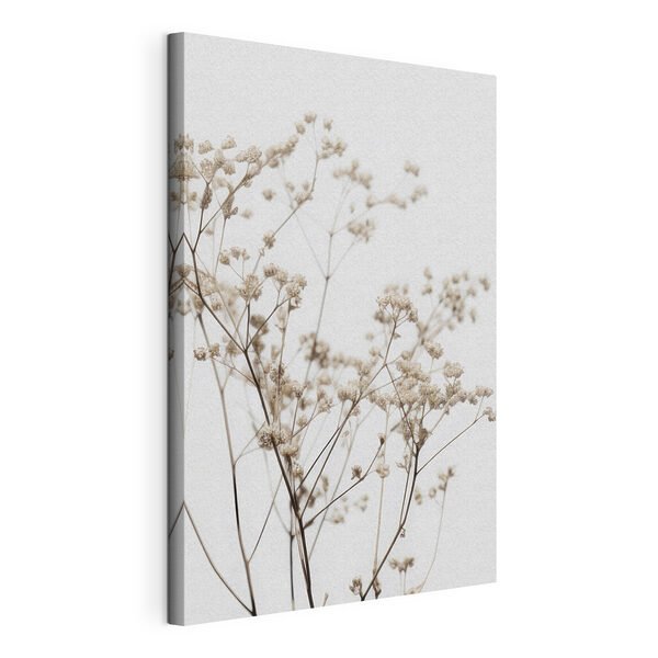Tableaux De délicates fleurs séchées sur fond blanc