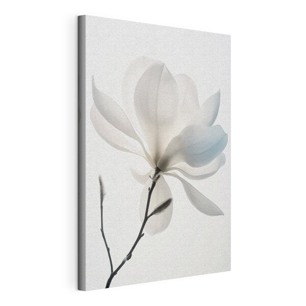 Fleur blanche avec feuilles Tableaux Fleur blanche avec feuilles