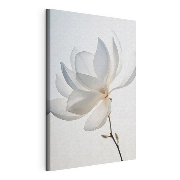 Tableaux Fleur blanche avec pétales