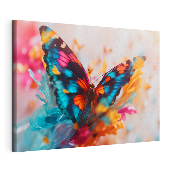 Papillon sur une fleur Tableaux Papillon sur une fleur