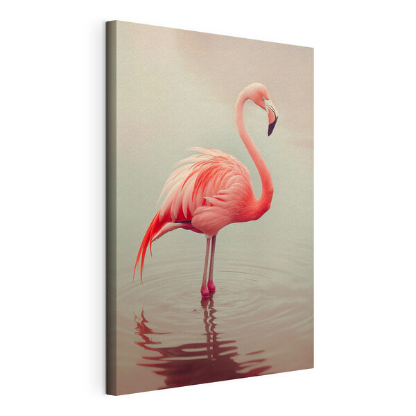 Flamingo standing in water