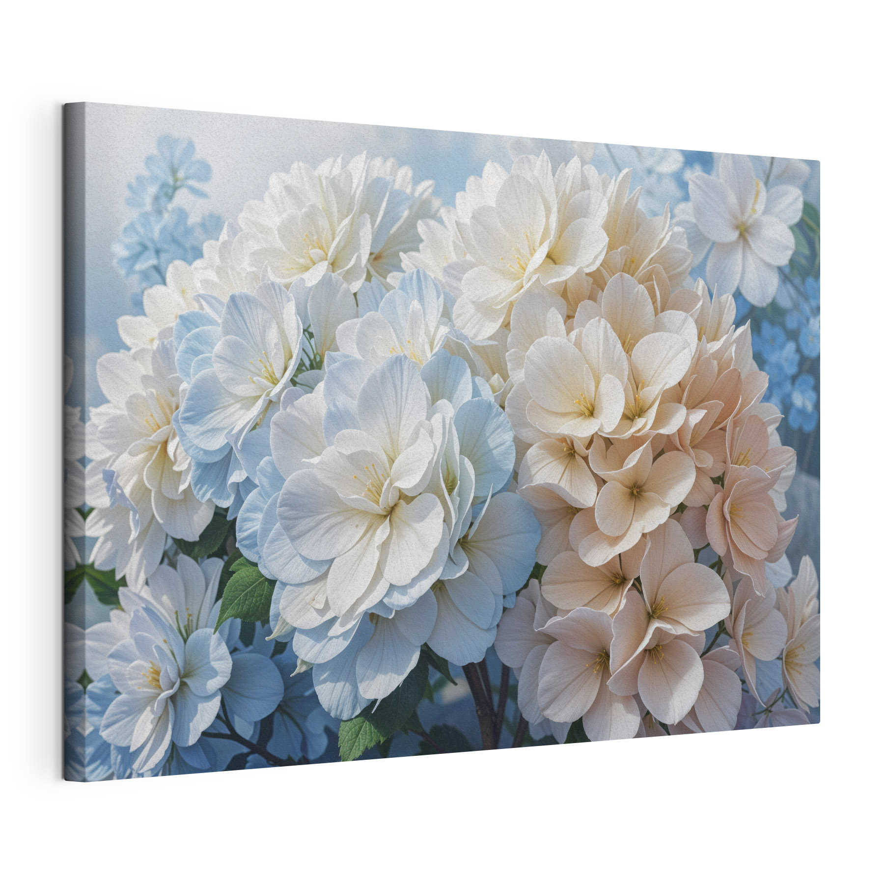 Group of white and blue flowers