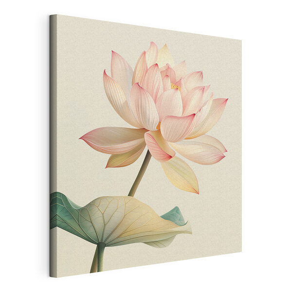 La douce beauté d'un lotus en fleur Tableaux La douce beauté d'un lotus en fleur