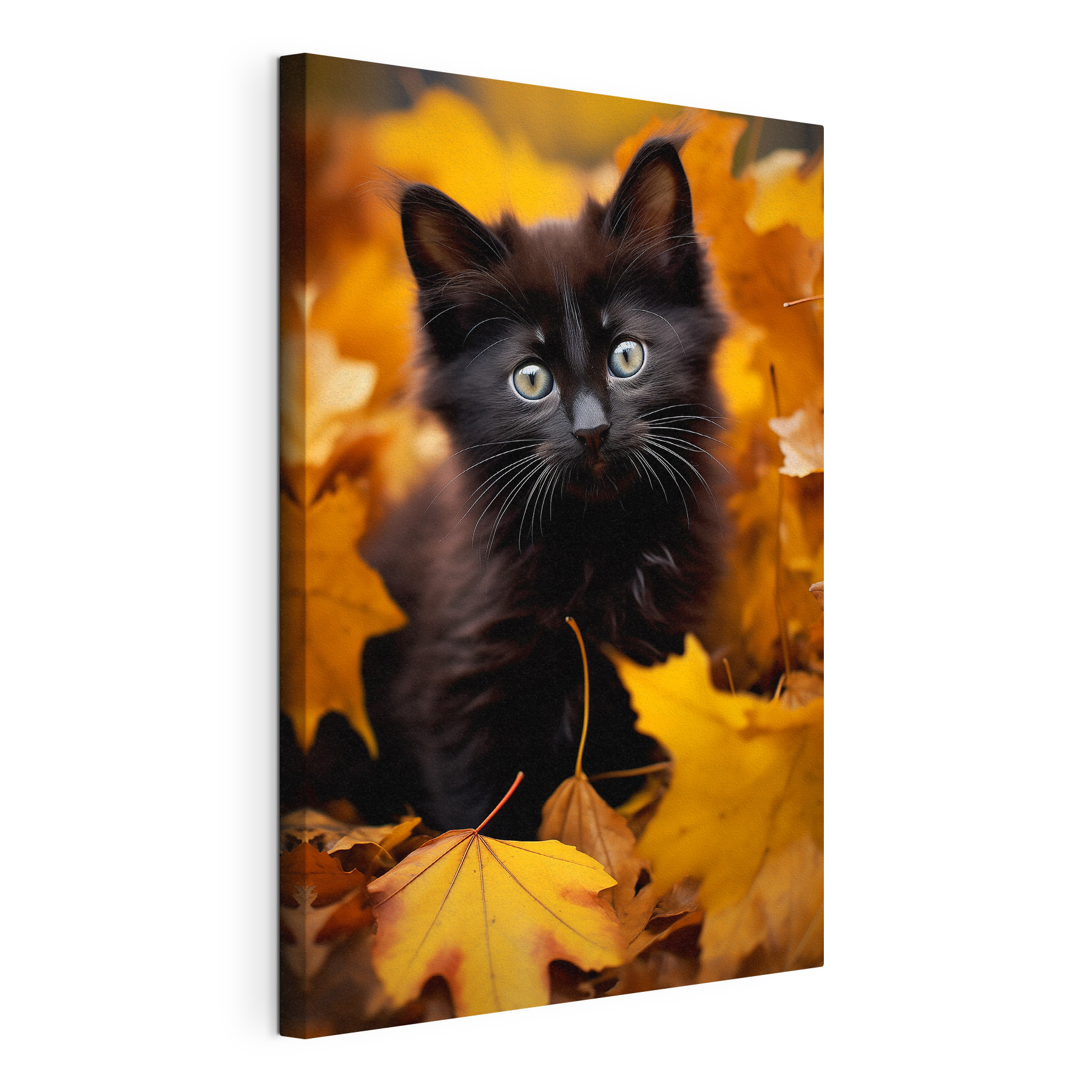 Black kitten in a pile of leaves
