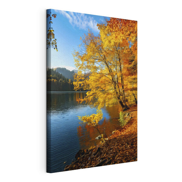 Lac avec des arbres et des feuilles sur le sol Tableaux Lac avec des arbres et des feuilles sur le sol