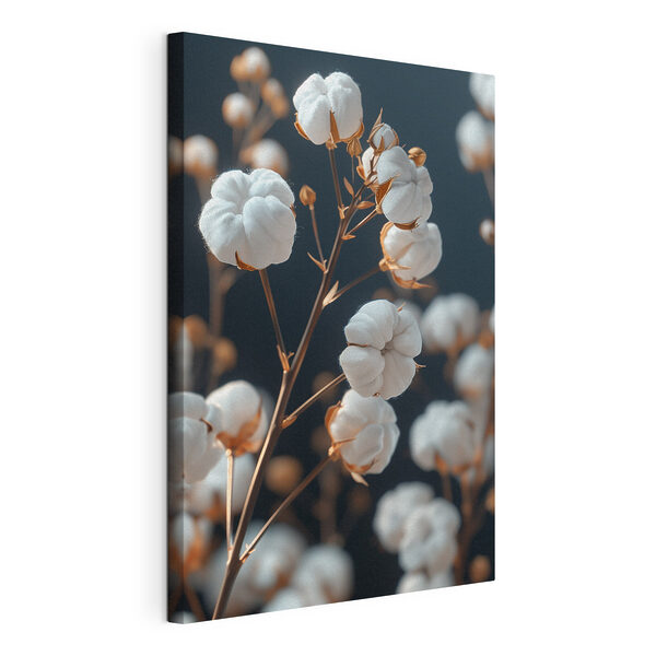 Exposition de délicates fleurs de coton Tableaux Exposition de délicates fleurs de coton