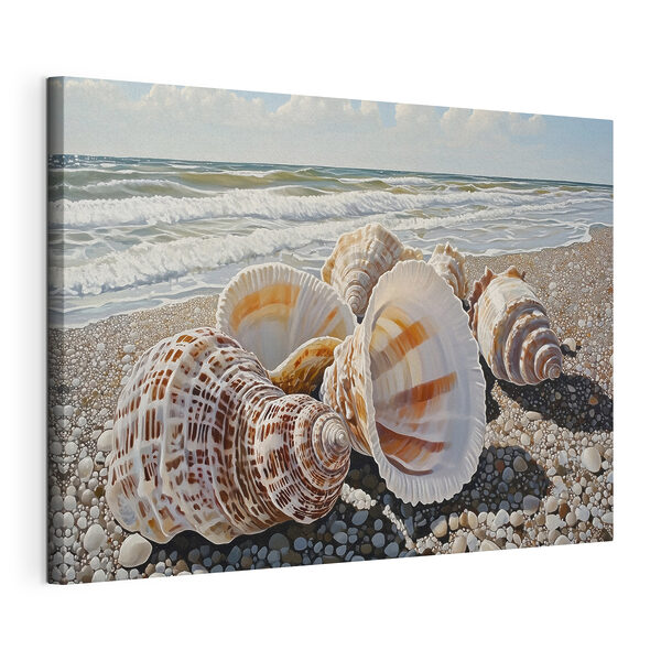 Tableaux Coquillages sur une plage (UGS : s42333) Tableaux Tableaux Coquillages sur une plage (UGS : s42333)