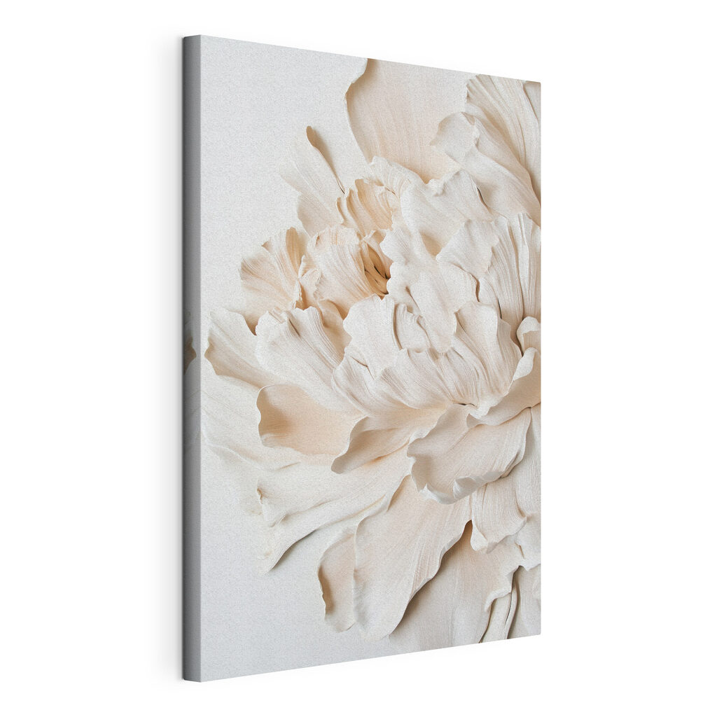 Delicate layers of beautiful petals Delicate layers of beautiful petals