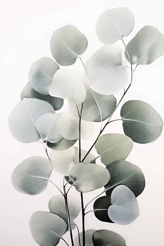 Delicate leaves on a minimal backdrop