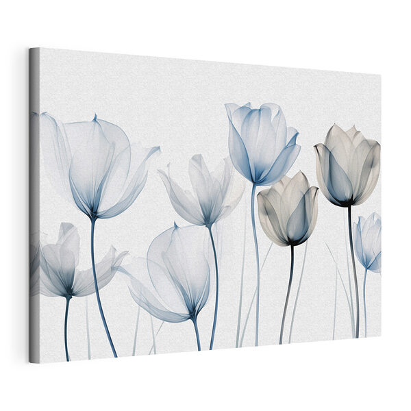 Group of flowers with transparent petals