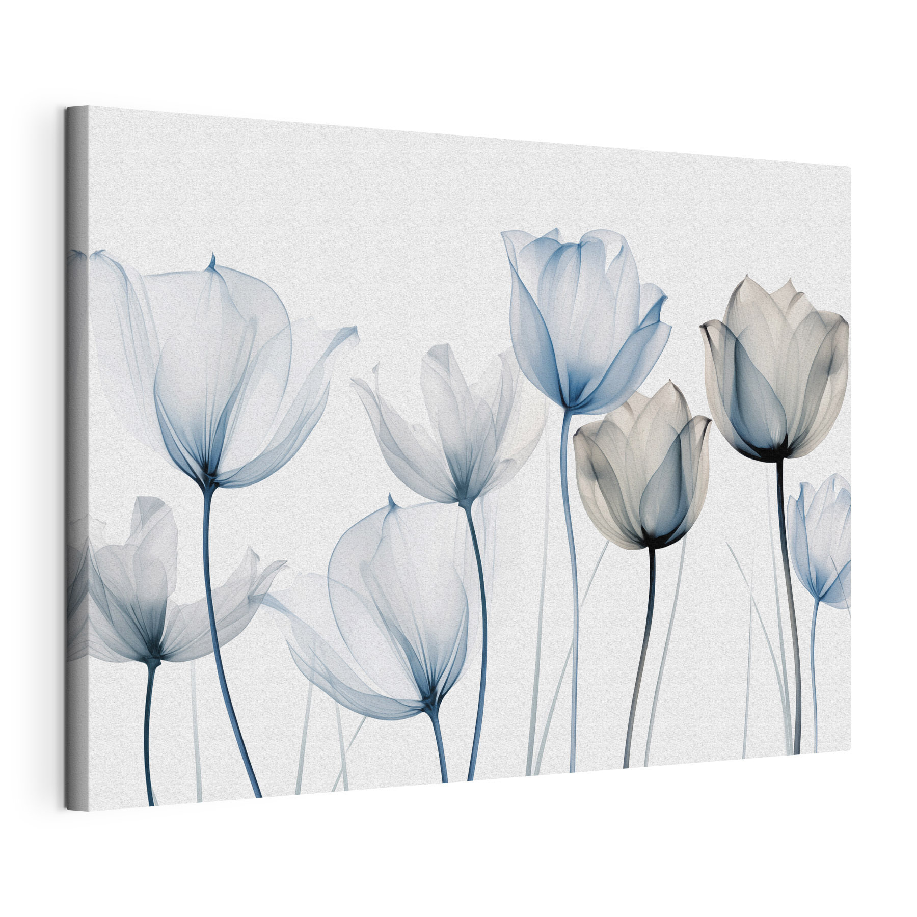 Group of flowers with transparent petals