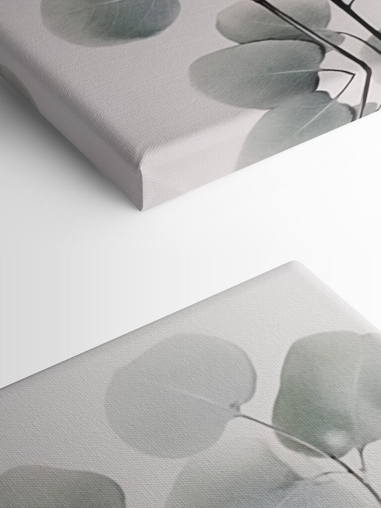 Delicate leaves on a minimal backdrop