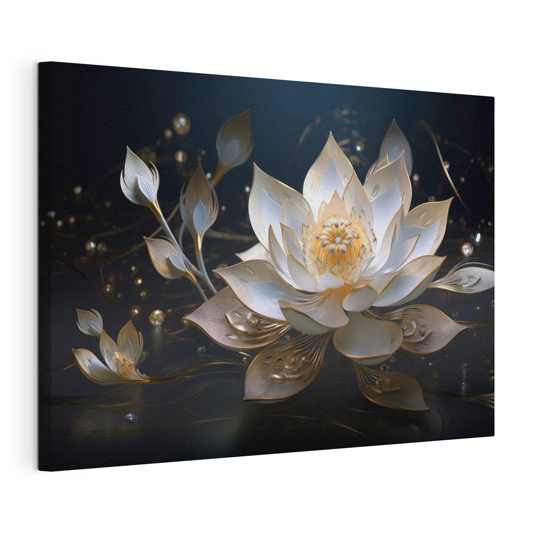 Elegant lotus blooms in soft light Elegant lotus blooms in soft light