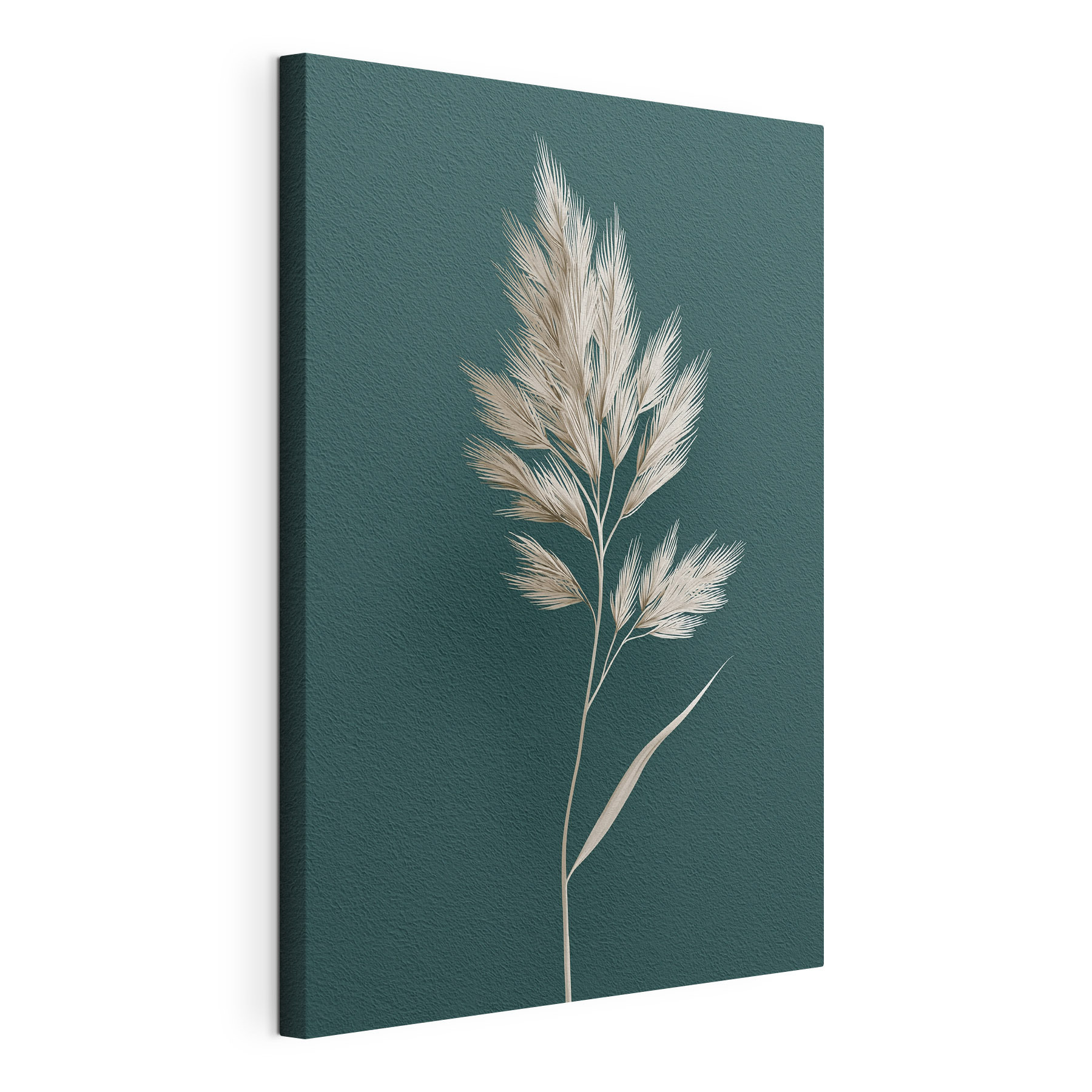 White plant with long leaves