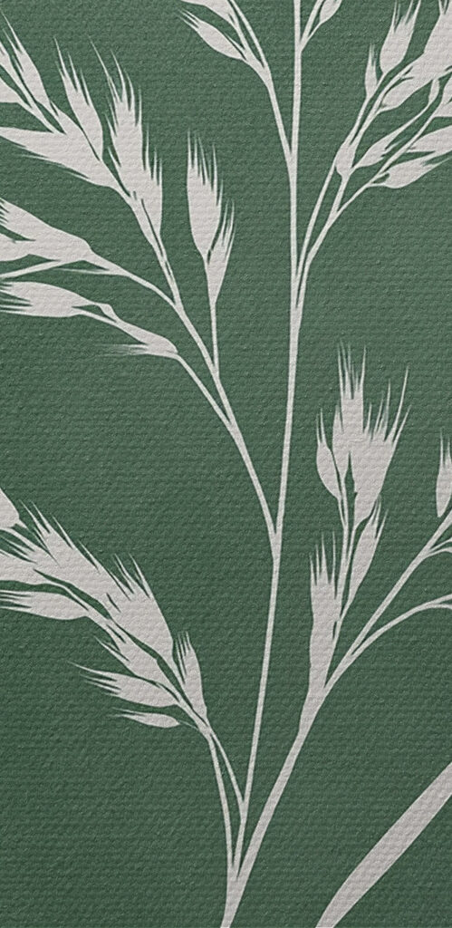 White plant with long stems