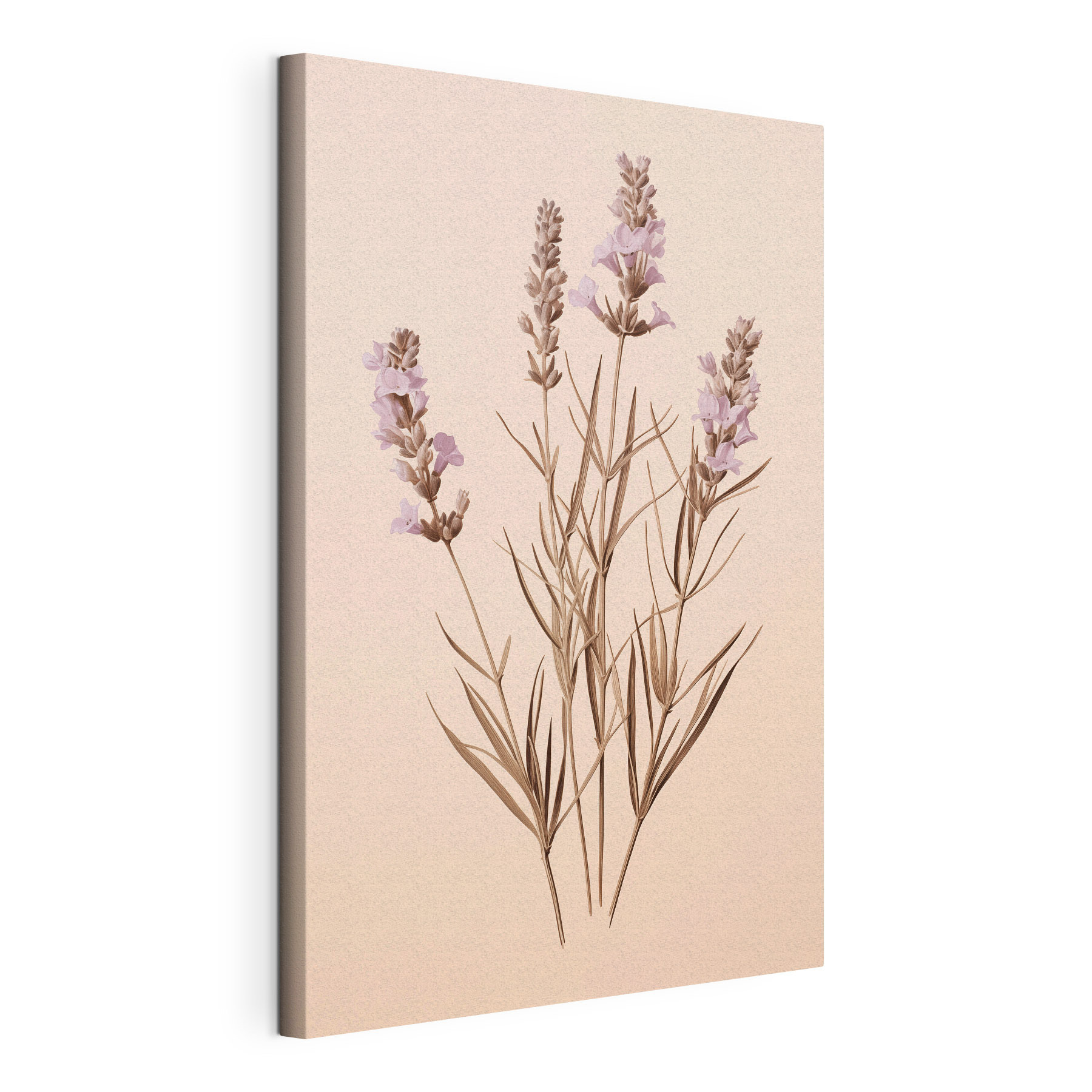 - Delicate blooms against a soft backdrop - Delicate blooms against a soft backdrop