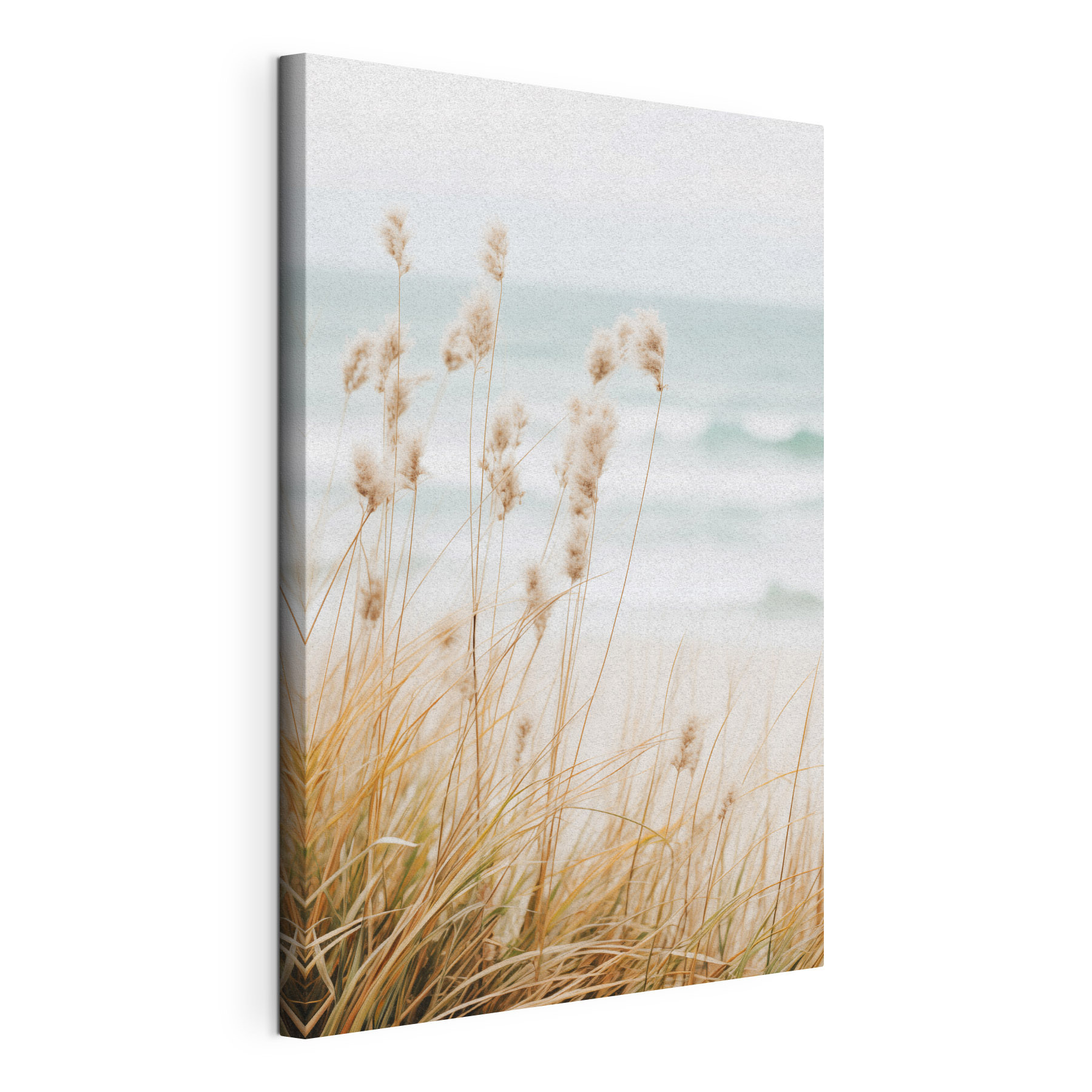 Soft grasses sway by gentle waves Soft grasses sway by gentle waves