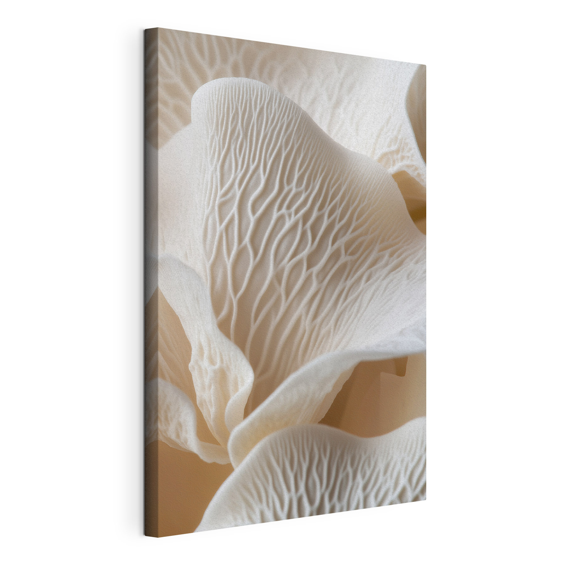 Delicate layers in graceful formations Delicate layers in graceful formations