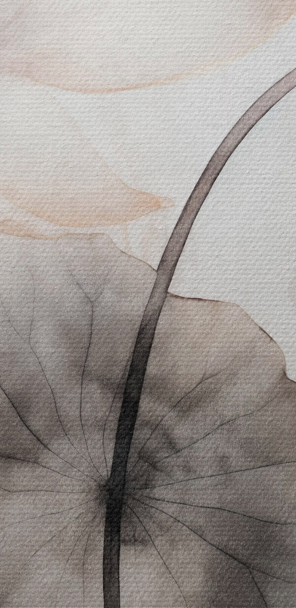 Delicate lilies on a soft background Delicate lilies on a soft background