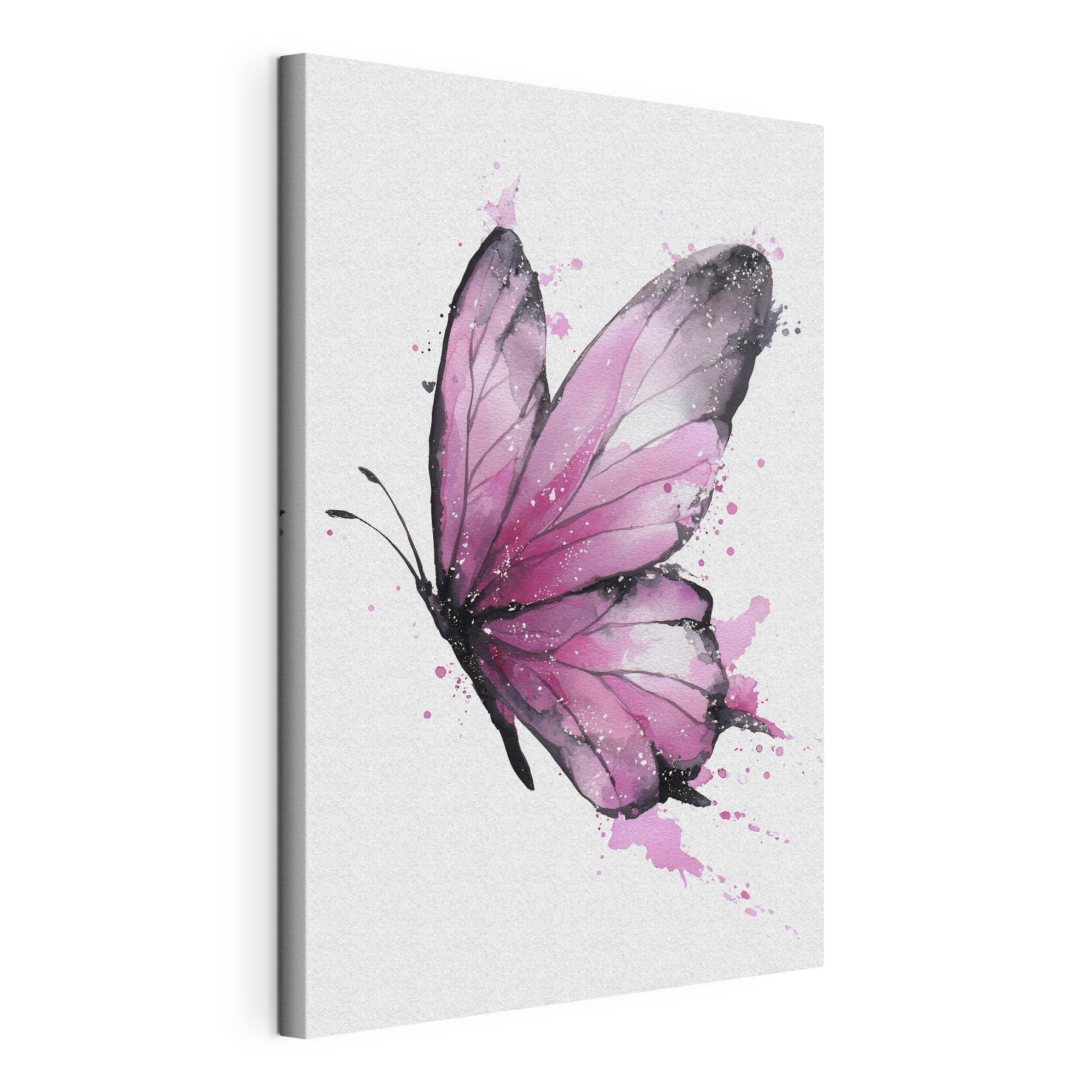Pink butterfly with black wings Pink butterfly with black wings