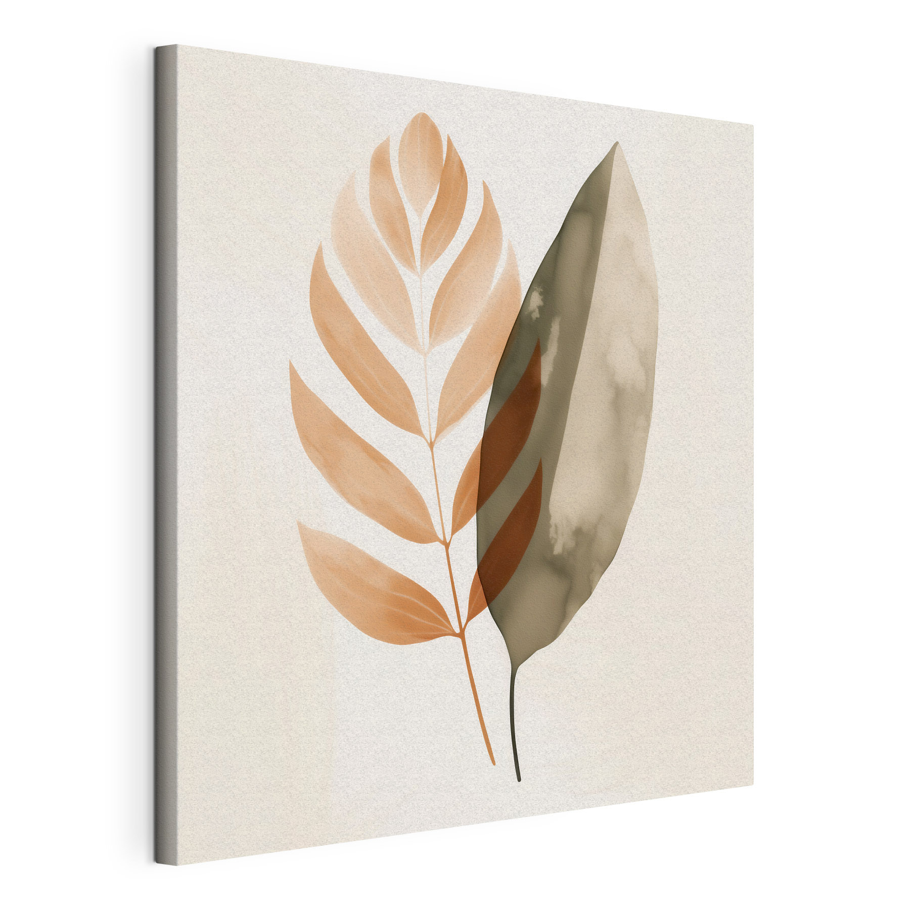 Elegant leaves on a soft background